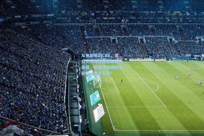 从休斯顿到CBA，昔日火箭球员成联赛新风景线，若集齐巅峰阵容能否问鼎总冠军？