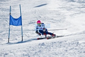 居莱尔闪耀德甲，从天才新星到阿隆索麾下的球场指挥官