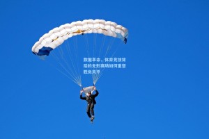 数据革命，体育竞技背后的无形赛场如何重塑胜负天平